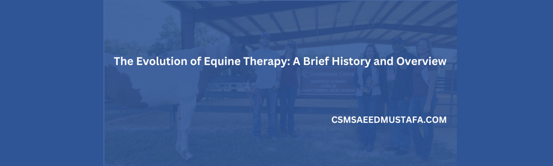 The Evolution of Equine Therapy