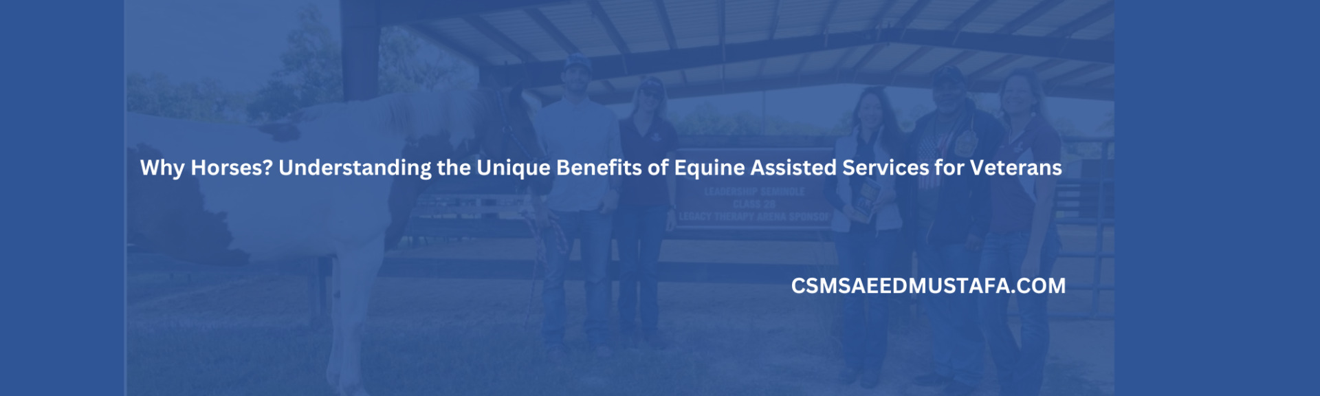 Unique benefits of equine assisted services for veterans